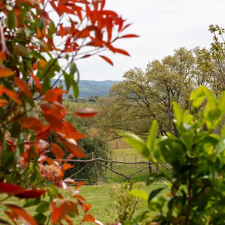 La Carletta Alloggio per agriturismo *