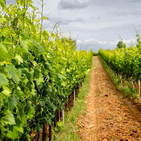 La Carletta Alloggio per agriturismo