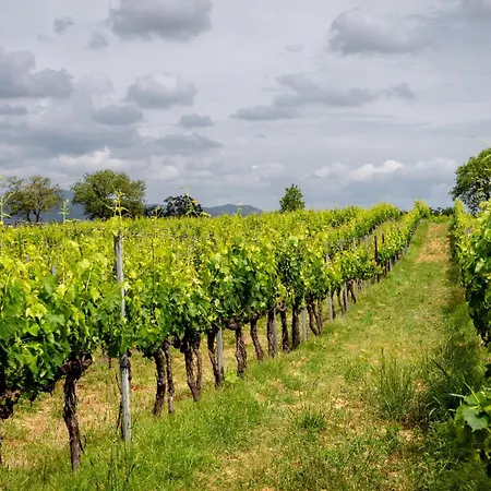 Alloggio per agriturismo La Carletta