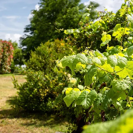 Alloggio per agriturismo La Carletta *