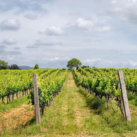 Agroturismo La Carletta Preselle